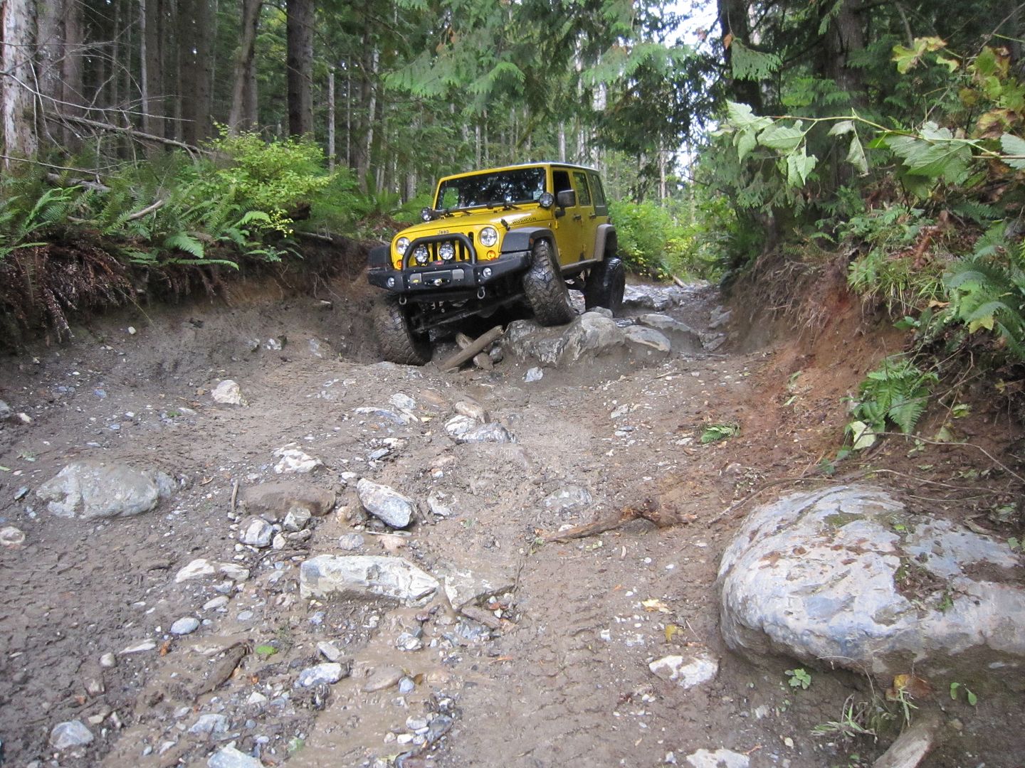 Walker Valley OHV Area Saturday, Oct 29th Jeep Enthusiast Forums